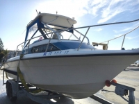 1991 Sunbird SWL225 Walkaround for sale in Torrance, California (ID-503)