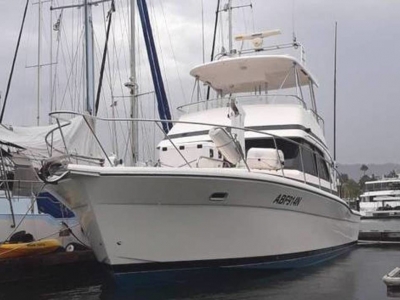 1999 Riviera Platinum 43 for sale in San Diego, California at $190,000