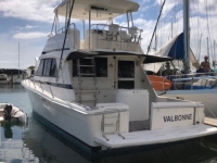 1999 Riviera Platinum 43 for sale in San Diego, California (ID-544)