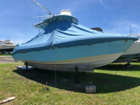 2006 Everglades 260CC for sale in Winter Garden, Florida (ID-62)