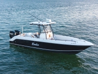 2006 Pro-Line 29 Super Sport for sale in Miami, Florida (ID-539)