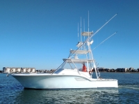 2007 Custom Carolina  Sea Tek 36 Express for sale in Murrells Inlet, South Carolina (ID-533)