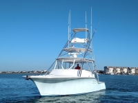 2007 Custom Carolina  Sea Tek 36 Express for sale in Murrells Inlet, South Carolina (ID-533)