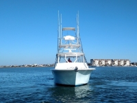 2007 Custom Carolina  Sea Tek 36 Express for sale in Murrells Inlet, South Carolina (ID-533)