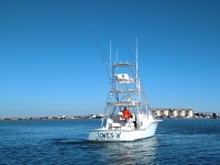 2007 Custom Carolina  Sea Tek 36 Express for sale in Murrells Inlet, South Carolina (ID-533)