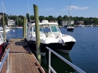 2018 World Cat 320 DC for sale in Newburyport, Massachusetts (ID-553)
