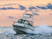 2021 Boston Whaler 345 Conquest for sale in Norwalk, Connecticut (ID-1458)