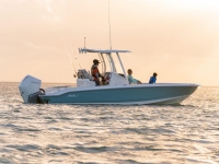 2022 Boston Whaler 250 Dauntless for sale in Fort Myers, Florida (ID-1461)
