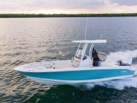 2022 Boston Whaler 250 Dauntless for sale in Fort Myers, Florida (ID-1461)