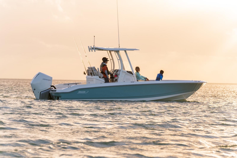 2022 Boston Whaler 250 Dauntless for sale in St. Petersburg, Florida (ID-1462)