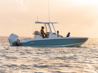 2022 Boston Whaler 250 Dauntless for sale in St. Petersburg, Florida