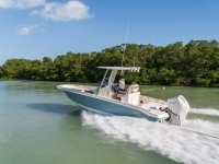 2022 Boston Whaler 250 Dauntless for sale in St. Petersburg, Florida (ID-1462)