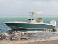 2022 Boston Whaler 250 Dauntless for sale in St. Petersburg, Florida (ID-1462)