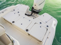 2022 Boston Whaler 250 Dauntless for sale in St. Petersburg, Florida (ID-1462)