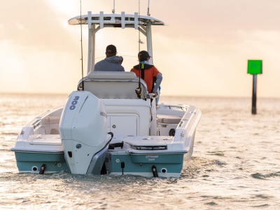 Power Boats - 2021 Boston Whaler 250 Dauntless for sale in Naples, Florida