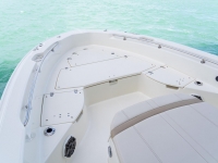 2021 Boston Whaler 250 Dauntless for sale in Naples, Florida (ID-1463)