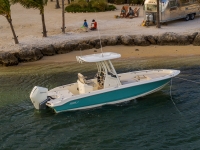 2021 Boston Whaler 250 Dauntless for sale in Sarasota, Florida (ID-1464)