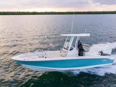 2021 Boston Whaler 250 Dauntless for sale in Ocean View, New Jersey