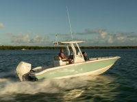 2021 Boston Whaler 250 Dauntless for sale in Ocean View, New Jersey (ID-1473)