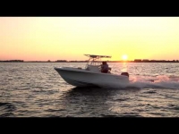 2021 Sailfish 220 CC for sale in Tampa, Florida (ID-765)