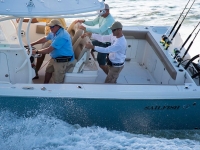 2021 Sailfish 320 CC for sale in Sarasota, Florida (ID-1644)