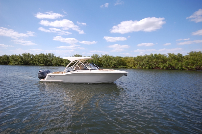 2021 Scout 255 Dorado for sale in Apollo Beach, Florida (ID-1946)