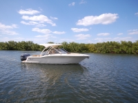 2021 Scout 255 Dorado for sale in Apollo Beach, Florida (ID-1946)