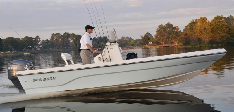 2021 Sea Born SV19 for sale in Fort Pierce, Florida (ID-1601) 2021 Sea Born SV19 for sale in Fort Pierce, Florida (ID-1601)
