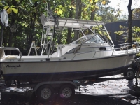 1988 Shamrock Predator 200 for sale in Voorhees, New Jersey (ID-1818)