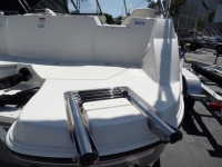 2021 Stingray 201DS for sale in Pompano Beach, Florida (ID-1901)