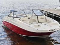 2021 Stingray 201DS for sale in Holiday, Florida (ID-2591)