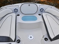 2021 Stingray 201DS for sale in Holiday, Florida (ID-2591)